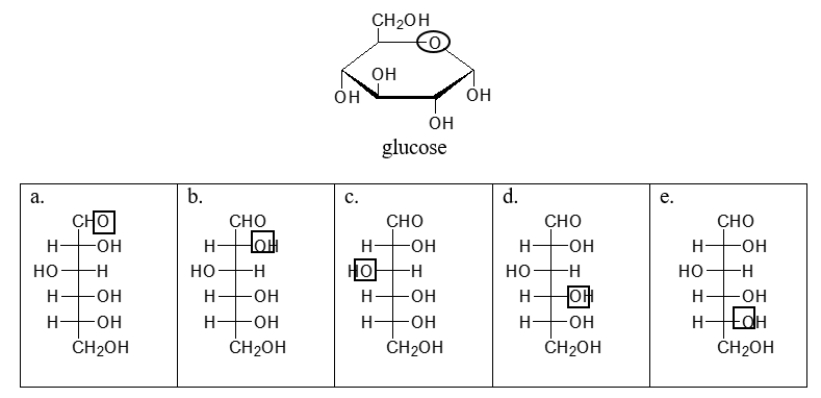 The circled oxygen in the cyclic structure of glucose corresponds to which boxed oxygen in the linear structure?   A)  choice a B)  choice b C)  choice c D)  choice d E)  choice e