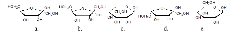 Which structures is an α-anomer?   A)  structure a B)  structure b C)  structure c D)  structure d E)  structure e