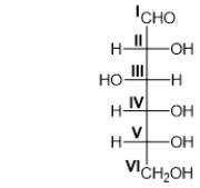 <strong>Which carbon(s)in the Fischer projection below is/are tetrahedral? </strong> A) all carbons B) carbon I only C) carbon I and VI only D) carbons II, III, IV, and V E) carbons II through VI