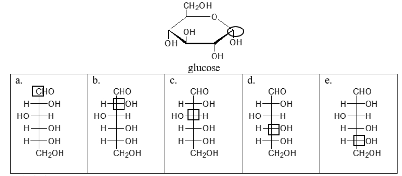 The circled carbon in the cyclic structure of glucose corresponds to which boxed carbon in the linear structure?   A)  choice a B)  choice b C)  choice c D)  choice d E)  choice e