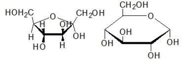 The ring structure shown below left is called a ________, and the ring structure to the below right is called a _________.   A)  pyranose; pyranose B)  pyranose; furanose C)  furanose; furanose D)  furanose; pyranose E)  The choices given do not apply to ring forms of sugars.