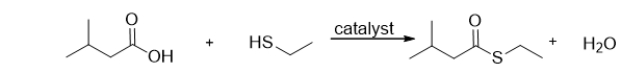 What is the name of the functional group produced by the following reaction?   A)  a thioester B)  a sulfur C)  a sulfhydride D)  a thiol E)  a hydrogen sulfide