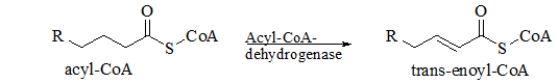 Which statement BEST describes what occurs over the course of the following reaction?   A)  Two hydrogens are added to acyl-CoA, forming a double bond. B)  Two hydrogens are added to acyl-CoA, breaking a double bond. C)  Two protons are added to acyl-CoA, forming a double bond. D)  Two hydrogens are removed from acyl-CoA, forming a double bond. E)  Two protons are removed from acyl-CoA, forming a double bond.