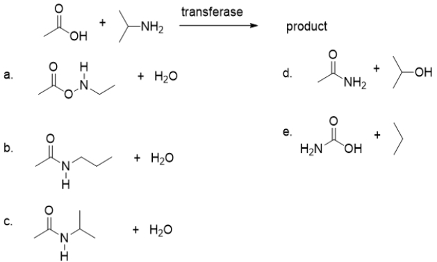 What is the product of the following amidation reaction?   A)  product a B)  product b C)  product c D)  product d E)  product e
