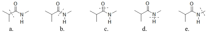 Which amide has a line through the bond that is broken during hydrolysis?   A)  amide a B)  amide b C)  amide c D)  amide d E)  amide e