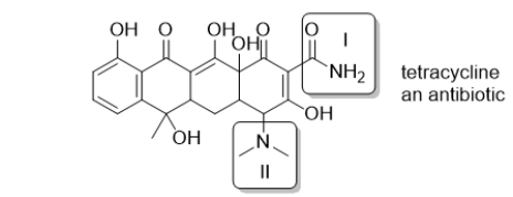 Tetracycline is a common antibiotic.Select the choice in which the two boxed functional groups are correctly identified.   A)  I: amine; II: amine B)  I: amide; II: amide C)  I: amine; II: amide D)  I: amide; II: amine E)  These functional groups are neither amines nor amides.