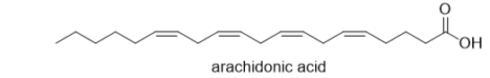 What type of biomolecule is shown below?   A)  a polyunsaturated fatty acid B)  a saturated fatty acid C)  a nucleic acid D)  an amino acid E)  a sugar