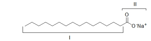 The portion of the molecule labeled I is   A)  hydrophobic.It dissolves grease. B)  hydrophilic.It dissolves grease. C)  hydrophobic.It dissolves in water. D)  hydrophilic.It dissolves in water. E)  both hydrophobic and hydrophilic.It dissolves in both water and grease.