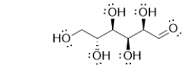 Glucose, the most common sugar, contains which of the following carbonyl-containing functional groups?   A)  carboxylic acid B)  amide C)  aldehyde D)  ketone E)  ester
