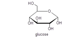 Glucose is an example of a(n)    A)  diol. B)  triol. C)  polyol. D)  ether. E)  phenol.