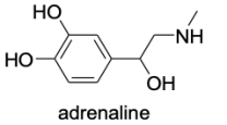 When administered as a treatment for anaphylaxis, adrenaline (structure shown below) is administered as a positively charged ion.What is the structure of this positively charged ion? ​   ​ A)    B)    C)    D)    E)   