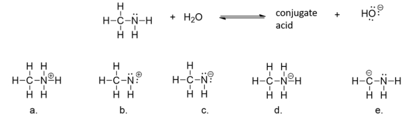 What is the structure of the conjugate acid formed when methylamine accepts a hydrogen ion (H<sup>+</sup>) from water?   A)  structure a B)  structure b C)  structure c D)  structure d E)  structure e