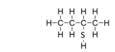 What is the IUPAC name for this compound?   A)  butanethiol B)  2-thiobutane C)  2-butanethiol D)  2-propanethiol E)  2-pentanethiol
