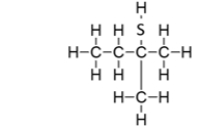 What is the IUPAC name for this compound?   A)  methylbutanethiol B)  methyl2-thiobutane C)  2-methylbutanethiol D)  2-methyl-2-butanethiol E)  methyl-2-pentanethiol