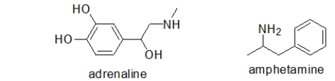 Adrenaline is responsible for the body's  fight or flight  response.Taking amphetamines results in a similar response.Which statement BEST explains this observation?   A)  Adrenaline and amphetamine are both metabolized in the same way because they have similar structures. B)  Adrenaline and amphetamine both bind to the same receptor because they have similar structures. C)  Amphetamine replaces adrenaline in important biosynthetic pathways. D)  There are two different pathways for the  fight or flight  response.Adrenaline activates one, and amphetamine activates the other. E)  No one understands why this occurs.