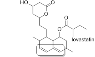 What type of alkene is boxed in lovastatin, a drug used to control cholesterol levels?   A)  a simple alkene B)  a diene C)  a polyene D)  an alkyne E)  This molecule is saturated.