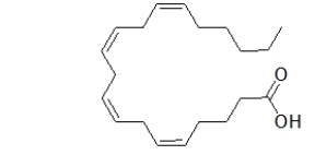 Arachidonic acid is a fat found in many foods such as meat, dairy products, and eggs.What type of carbon-carbon double bonds does arachidonic acid contain?   A)  Arachidonic acid contains all trans double bonds. B)  Arachidonic acid contains all cis double bonds. C)  Arachidonic acid contains two cis and two trans double bonds. D)  Arachidonic acid contains one cis and three trans double bonds. E)  Arachidonic acid contains three cis and one trans double bonds.