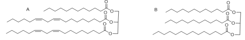 Which of these fats is liquid at room temperature?   A)  Neither, both are waxy solids. B)  A only C)  B only D)  A and B E)  These structures are not fats.