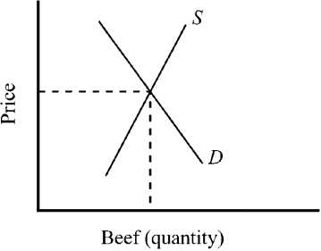 Figure 3-4   -Figure 3-4 shows conditions in the market for beef. A reduction in the price of the grain used to feed cattle results in A) the supply curve for beef shifting to the left resulting in higher beef prices and a lower quantity sold. B) the supply curve for beef shifting to the right resulting in lower beef prices and a higher quantity sold. C) the demand curve for beef shifting to the left resulting in lower beef prices and a lower quantity sold. D) the demand curve for beef shifting to the right resulting in higher beef prices and a higher quantity sold.