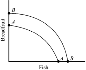 Figure 2-6   -Which of the following will most likely shift the production possibilities curve for breadfruit and fish outward from AA to BB in Figure 2-6? A)  an improvement in the form of economic organization B)  lower investment and a reduction in the country's capital stock C)  an increase in the price of breadfruit D)  a decrease in the average number of hours worked