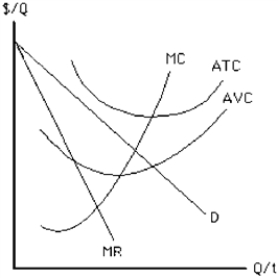 Figure 11-19   -In the short run, the monopolist depicted in Figure 11-19 should A)  shut down because P < AVC at some output levels. B)  shut down because P < ATC at all output levels. C)  continue producing because P > AVC at some output levels. D)  continue producing because P > ATC at all output levels. E)  continue producing because monopolists never shut down.