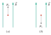 The figure shows two different orientations of a proton in a magnetic field.Which orientation is at higher energy?   A) a B) b C) Both are at the same energy, and there is no other orientation at higher energy. D) Both are at the same energy, but if the spin vector were perpendicular to the magnetic field the energy would be higher. E) Both are at the same energy, but if the spin vector were perpendicular to the magnetic field the energy would be lower.