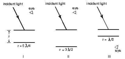 <strong>Three experiments involving a thin film (in air)are shown.If t denotes the film thickness and \lambda denotes the wavelength of the light in the film, which experiments will produce constructive interference as seen by the observer? </strong> A)I only B)II only C)III only D)I and III only E)II and III only