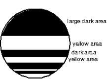  Yellow light is viewed by reflection from a thin vertical soap film.Let  \lambda  be the wavelength of the light within the film.Why is there a large dark space at the top of the film?   A) no light is transmitted through this part of the film B) the film thickness there is  \lambda /4 C) the light reflected from exactly one of the two surfaces undergoes a 180 \degree  phase change D) the film is too thick in this region for thin film formulas to apply E) the reflected light is in the infrared 