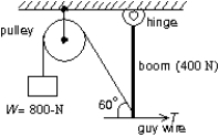 A 400-N uniform vertical boom is attached to the ceiling by a hinge, as shown.An 800-N weight W and a horizontal guy wire are attached to the lower end of the boom as indicated.The pulley is massless and frictionless.The tension force T of the horizontal guy wire has magnitude:   A) 350 N B) 400 N C) 690 N D) 800 N E) 1200 N