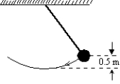 The long pendulum shown is drawn aside until the ball has risen 0.5 m.It is then given an initial speed of 3.0 m/s.The speed of the ball at its lowest position is:   A) 0 m/s B) 0.89 m/s C) 3.1 m/s D) 3.7 m/s E) 4.3 m/s