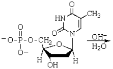 The product(s)  of the following is (are) :   A)    B)    C)    D)    E)   