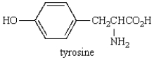 The reaction of   with bromine water is likely to give: A)    B)    C)    D)    E)   
