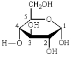 The anomeric carbon in the structure below is numbered:   A)  1 B)  2 C)  3 D)  4 E)  5