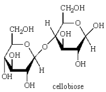 Acid-catalyzed hydrolysis of   gives: A)    B)    C)    D)    E)   