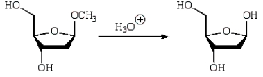 An intermediate in the following glycoside hydrolysis is:   A)    B)    C)    D)    E)   