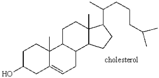 Cholesterol has how many stereogenic centers?   A)  1 B)  4 C)  5 D)  8 E)  13
