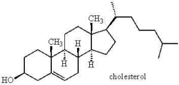 What class of compound is produced when acetic anhydride reacts with cholesterol?   A)  amide B)  ester C)  ketone D)  amine E)  ether