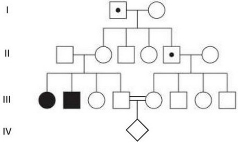 This pedigree shows the inheritance pattern of a disease caused by a paternally imprinted allele in a family.Genetic testing of individuals I-1 and II-5 indicates they are carriers of the disease allele.No one else in the family agreed to be tested.If first cousins III-4 and III-5 have a child together (IV-1) what is the chance the child will have the disease? (assume complete penetrance)  Reference for pedigree: Modified from www.cell.com/trends/molecular-medicine/fulltext/S1471-4914(14) 00138-5   A) 0 B) 1/9 C) 1/4 D) 1/2 E) 1/3