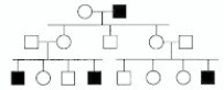 In the following pedigree, the indicated trait is most likely caused by which type of allele?   A) autosomal recessive B) autosomal dominant C) X-linked recessive D) X-linked dominant E) Y-linked