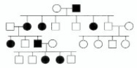 In the following pedigree, the indicated trait most likely is caused by which type of allele?   A) autosomal recessive B) autosomal dominant C) X-linked recessive D) X-linked dominant E) Y-linked