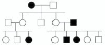 In the following pedigree, the indicated trait is most likely caused by which type of allele?   A) autosomal recessive B) autosomal dominant C) X-linked recessive D) X-linked dominant E) Y-linked