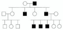 In the following pedigree, the indicated trait is caused by what type of allele?   A) autosomal recessive B) autosomal dominant C) X-linked recessive D) X-linked dominant E) Y-linked