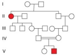   What does the pattern of inheritance in this pedigree indicate about the disease allele? A) The disease allele is recessive. B) The disease allele is dominant. C) There is no indication that the disease allele is either dominant or recessive. D) The disease allele is not inherited but arises only by a new mutation in affected individuals.