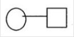 For each of the following pedigree symbols, select the correct meaning. -  A) Unaffected male B) Unaffected female C) Mating D) Affected male E) Affected female