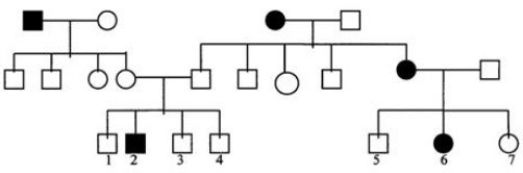 Below is a pedigree for a common human trait (not a disease) controlled by a single gene.Shaded symbols are for individuals exhibiting the trait.   -Identify the mode of inheritance of the trait. A) Dominant B) Recessive C) Either dominant or recessive D) Cannot be determined