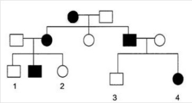 Below is a pedigree of a human genetic disease in which solid color indicates affected individuals.Assume that the disease is caused by a gene that can have the alleles A or a.   -What is/are the possible genotype(s) of person 2? A) AA B) Aa C) Either AA or Aa D) aa E) Cannot be determined