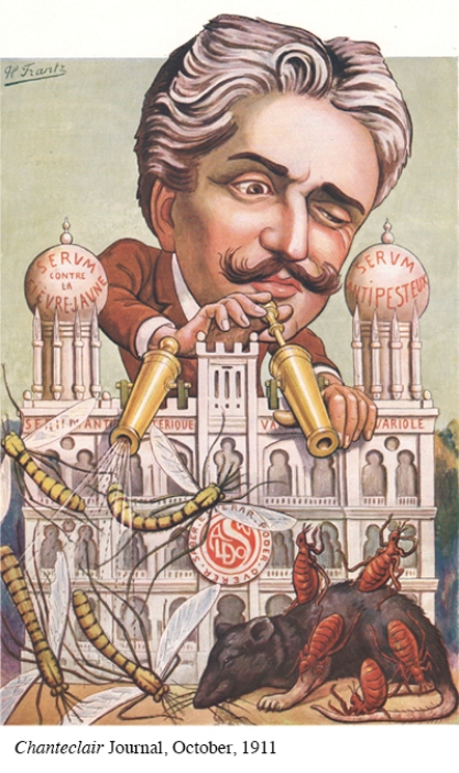 The attack on mosquitos and rats in this image is indicative of which of the following?   A)  That the French viewed their enemies during the First World War as vermin B)  An increased focus on combating public health issues C)  That diseases such as the plague were having a major impact on European populations D)  That many people feared there was no defense against life-threatening illnesses such as the plague or malaria