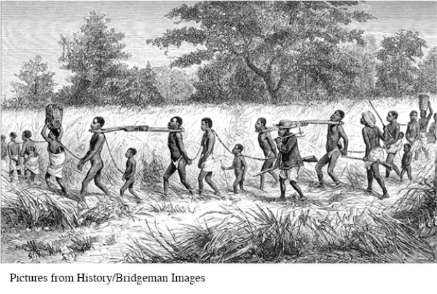 What evidence in this illustration shows European influence on the African slave trade?   A)  The restraints are of European design. B)  The guards are carrying European-style firearms. C)  The large number of captives suggests traders are attempting to meet high European demand. D)  Europeans preferred younger slaves, as they typically sold for a higher price.