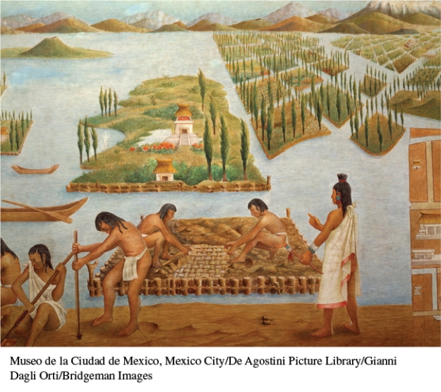 How do the chinampa farming techniques, pictured here, differ from those of Europeans?   A)  They used hand-held farming implements. B)  They farmed in small, rectangular plots divided by canals. C)  Crops were planted in a systematic fashion. D)  Irrigation was an important part of the planting process.