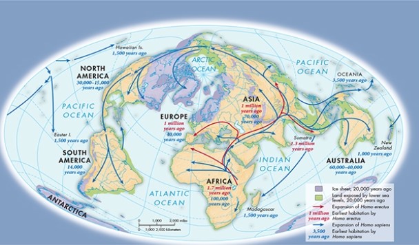 How is the intellectual and toolmaking superiority of Homo sapiens reflected in Map 1.1,  Human Migration in the Paleolithic and Neolithic Eras ?   A)  Homo sapiens travelled farther and crossed bodies of water. B)  Homo sapiens travelled primarily along coastlines. C)  Homo sapiens travelled faster. D)  Homo sapiens often mimicked the routes travelled by Homo erectus.